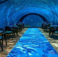 Най-големият подводен лукс в света е на Малдивите