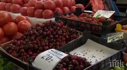 гореща тема златни черешите пазарите цените народен фолклор