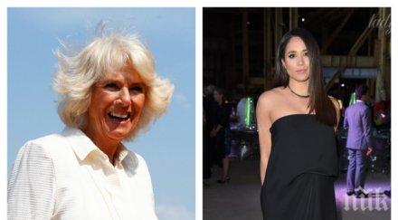 кралски интриги камила бясна скочи меган маркъл използвала принц хари