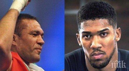 официално условието мач джошуа пулев