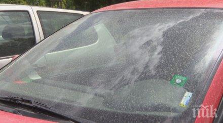 прашен дъжд африка изцапа софия