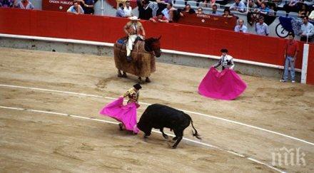 протест близо 000 души поискаха забрана коридите испания