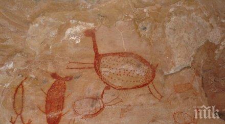 сензация откриха австралия древните следи живот земята