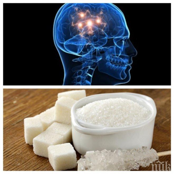 Ето какво става с мозъка ви, когато спрете захарта