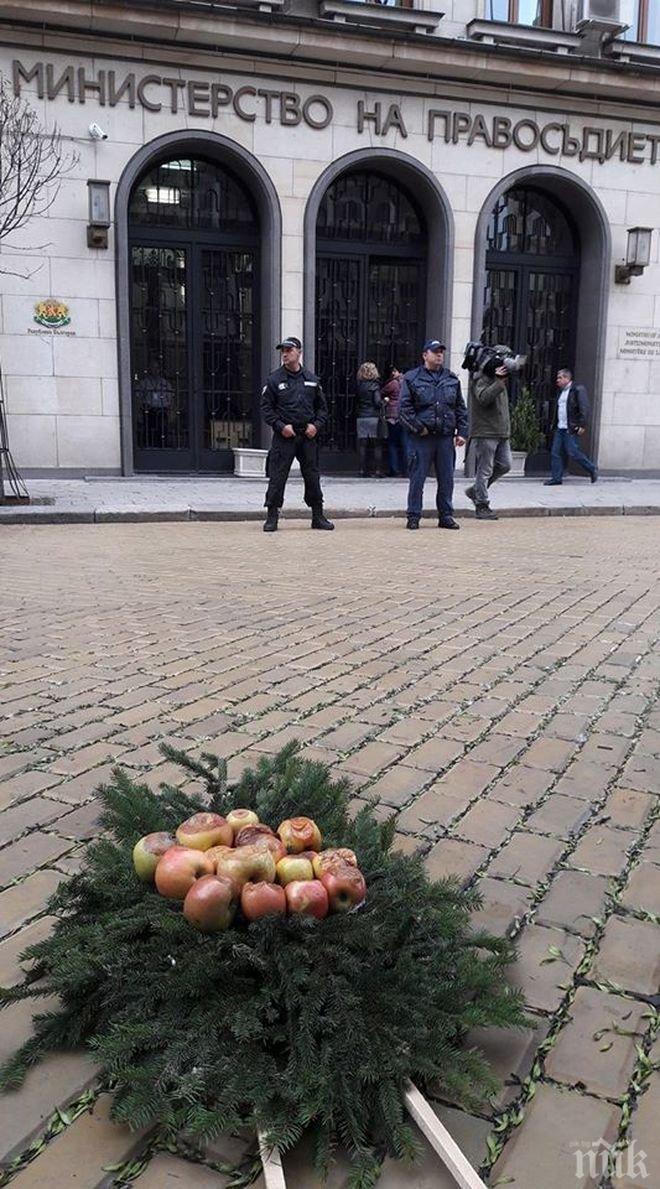 Положиха венец от гнили ябълки пред правосъдното министерство 