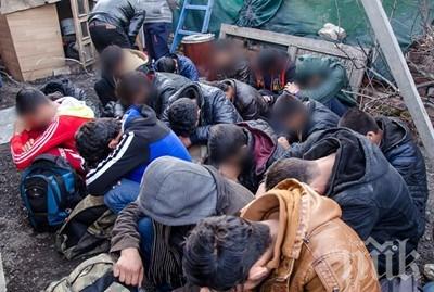 БЕЗ МИЛОСТ! Сърбия руши незаконен мигрантски лагер