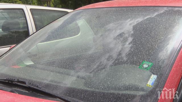 Прашен дъжд от Африка изцапа София