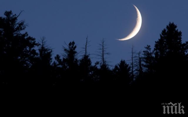 ЗА ДНЕС ЛУНАТА ПОВЕЛЯВА: Въздържайте се от полови контакти