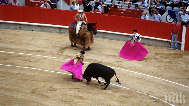 Протест! Близо 18 000 души поискаха забрана на коридите в Испания