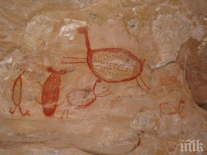 СЕНЗАЦИЯ! Откриха в Австралия най-древните следи за живот на земята