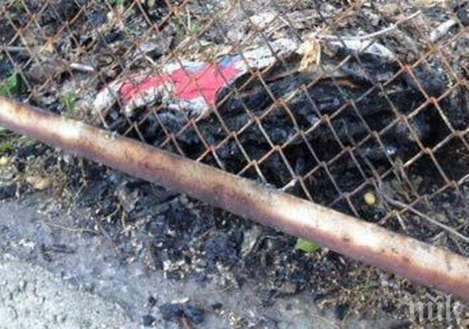 МЪКА! Месец по-късно, след като куче бе запалено в къщичката си, Благоевград осъмна с некролог с емоционално послание към изрода, причинил това!