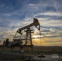 Москва и Рияд искат ограничението на добива на петрол да продължи до март 2018 година