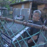 21 век, София: Тези ужасяващи и мизерни бараки не са убежище на клошари, а....ведомствени жилища на национална железопътна компания