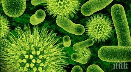 внимавайте два вируса удрят корема гърлото