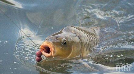 чудовище извадиха полицай вик служител язовир снимки