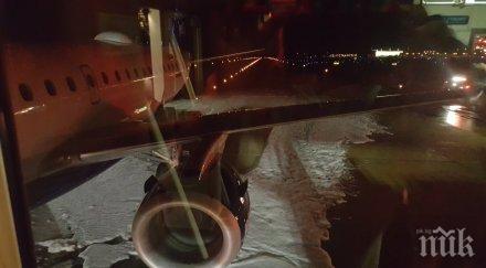 птица торпилира самолет проби резервоара