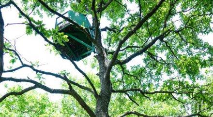 спасителен център зелени балкани армеец пуснаха свобода малки ловни соколчета снимки