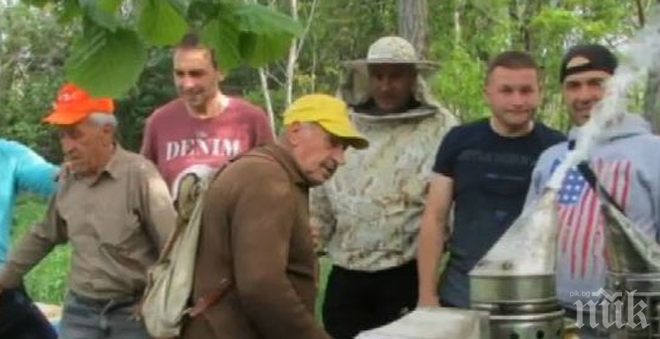 Пчелари помагат на свой колега от Хитрино