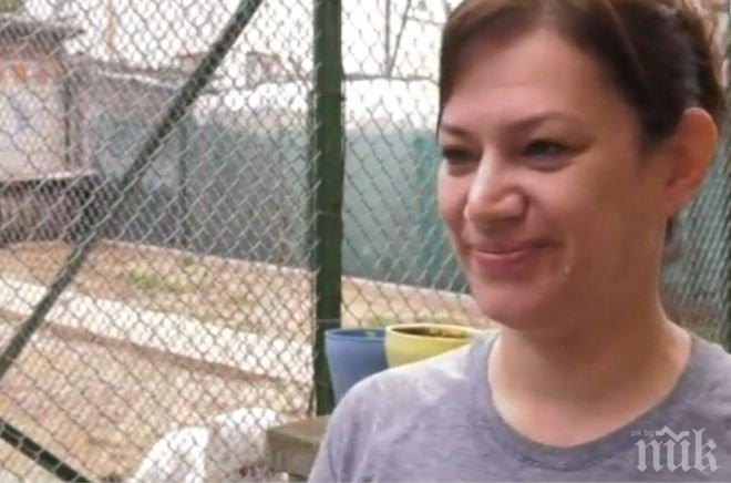 КРЪВ НА УЛИЦАТА! Кучета на общинска съветничка в Мездра разкъсаха пинчер