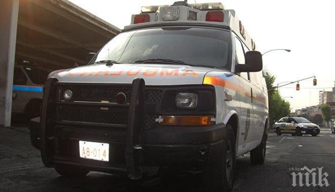 Пилотът на самолета и помощникът му са загинали при авиокатастрофата в Мексико