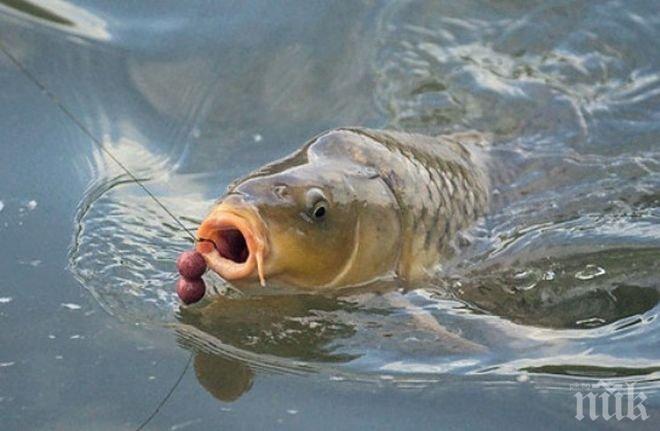 Ето какво чудовище извадиха полицай и ВиК служител от язовир (СНИМКИ)