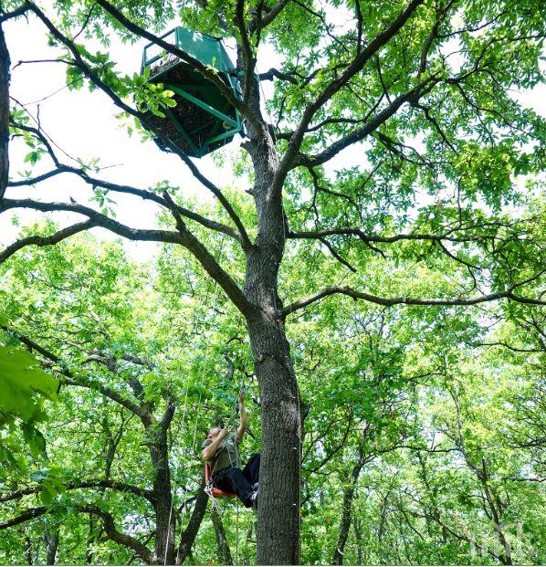 Спасителен център „Зелени Балкани“ и ЗАД „Армеец“ пуснаха на свобода 5 малки ловни соколчета (СНИМКИ)