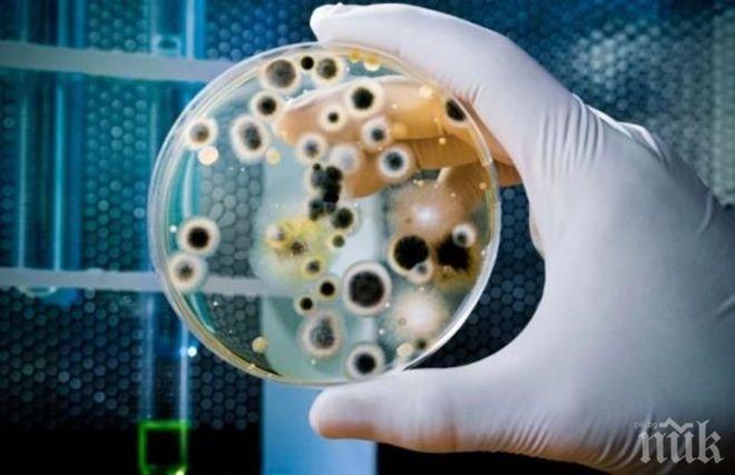 Неизвестни супербактерии открити в пациенти на американски клиники