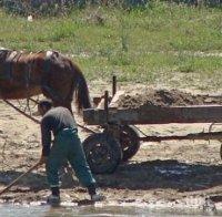 Пиян циганин обеси куче на каруцата си (ПОТРЕСАВАЩИ СНИМКИ 18+)