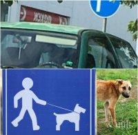 ГАВРА С КУЧЕ! Гадни стопани заключили псето в колата си в адска жега! Животното виело и скачало от задух! (СНИМКА)   