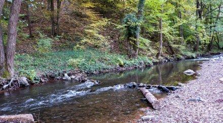 доброволци чистят коритото река ерма зарибят пъстърва