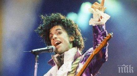 съдът постановишестимата братя сестри принс неговите официални наследници