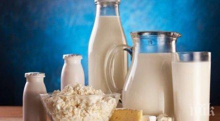 внимание без българско мляко пазара фермата изследва