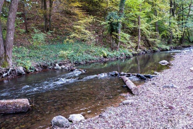 Доброволци ще чистят коритото на река Ерма и ще я зарибят с пъстърва