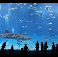 Вдигат океанариум в Бургас 