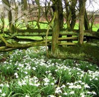 Tопло време, живакът скача до 18 градуса