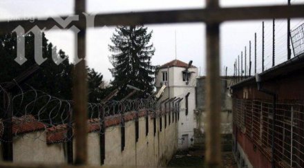 антон тодоров кандидатствал затвора стане политолог