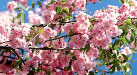 трима перничани влизат книгата бележити българи