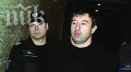 туморно образувание хамстера отложи делото октопод