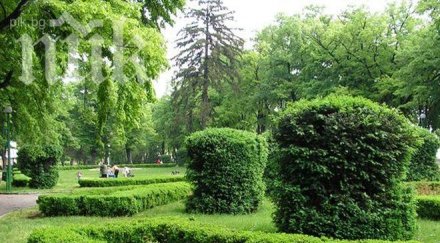 унищожават парка банкя заради нов хотел