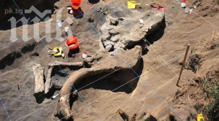 откриха останки мамут мексико