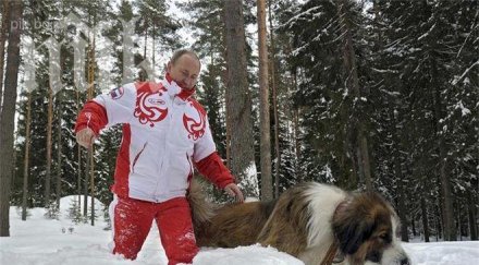 oвчарката бойко катурна путин