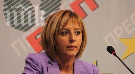 мая манолова оттегляме нашите представители цик рик