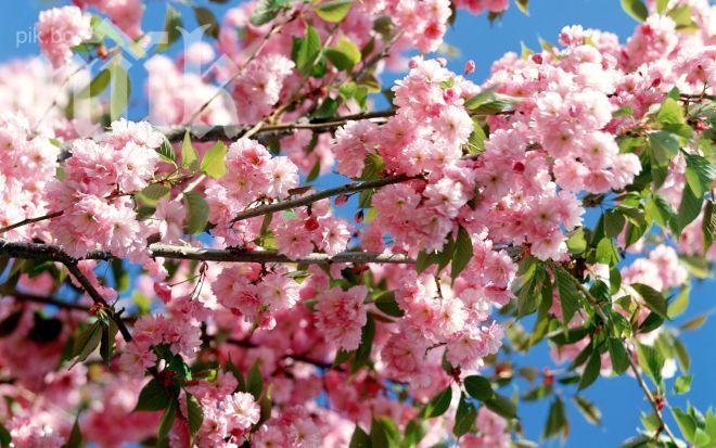 Температурите тръгват нагоре, край на дъждовете