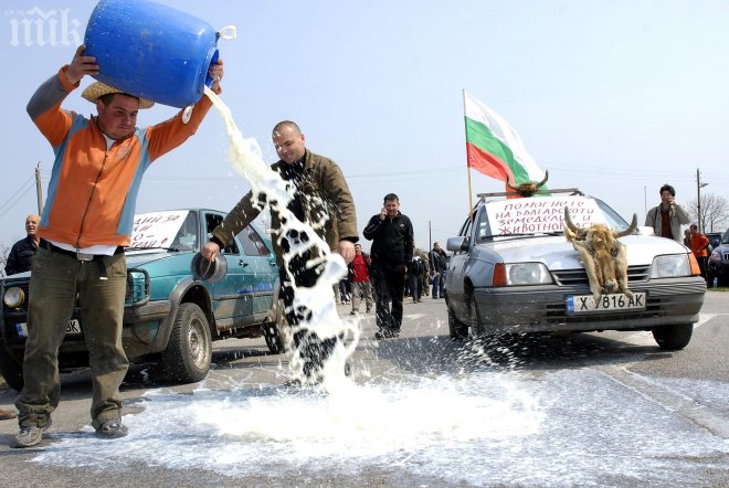 Фермерите готвят бунт срещу лобистите на палмовото масло