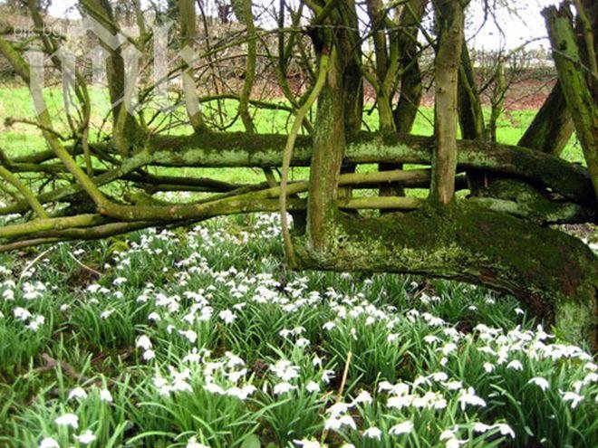 Tопло време, живакът скача до 18 градуса