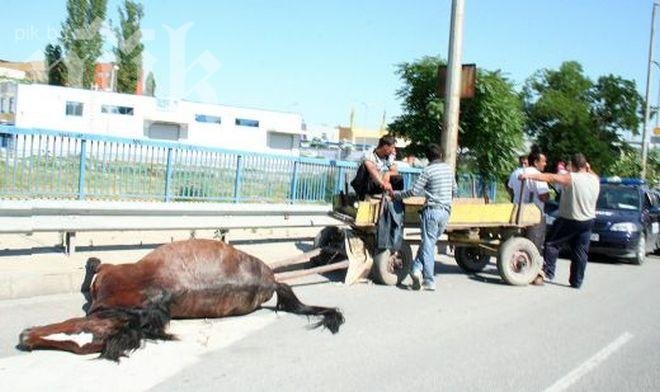 Кон се блъсна челно в маршрутка в центъра на София и загина