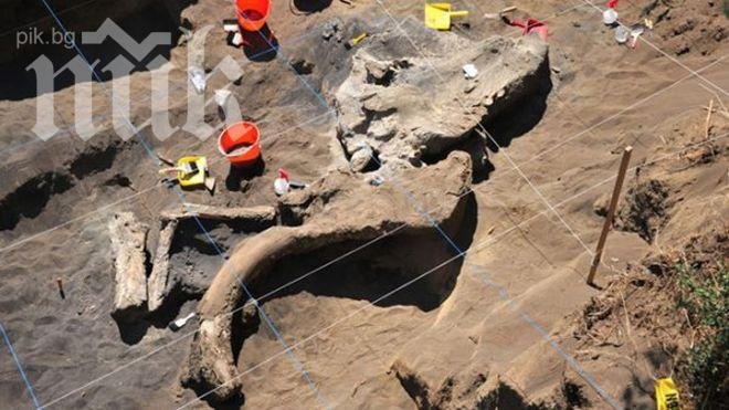 Откриха останки от мамут в Мексико