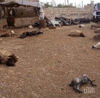 Откриха следи от зарин край сирийския град Хан Шейхун