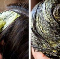 Полезно: Придайте блясък на косата си с авокадо
