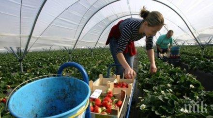 важно знаете пенсия друга страна години работа